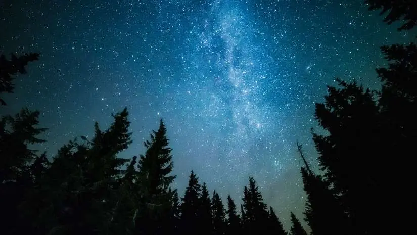 Astronomy Winner February - A forest scene under the stars